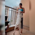 Kavya Thapar Instagram - Swipe to see how quickly my post workout photoshoot evolved 😂😋🐶 #naira #polar #cotton #mybabies #boxers #boxersofinstagram 🌎🌝❤️ Mumbai, Maharashtra