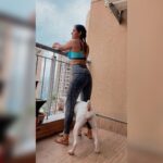 Kavya Thapar Instagram - Swipe to see how quickly my post workout photoshoot evolved 😂😋🐶 #naira #polar #cotton #mybabies #boxers #boxersofinstagram 🌎🌝❤️ Mumbai, Maharashtra