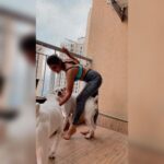 Kavya Thapar Instagram - Swipe to see how quickly my post workout photoshoot evolved 😂😋🐶 #naira #polar #cotton #mybabies #boxers #boxersofinstagram 🌎🌝❤️ Mumbai, Maharashtra