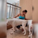 Kavya Thapar Instagram - Swipe to see how quickly my post workout photoshoot evolved 😂😋🐶 #naira #polar #cotton #mybabies #boxers #boxersofinstagram 🌎🌝❤️ Mumbai, Maharashtra