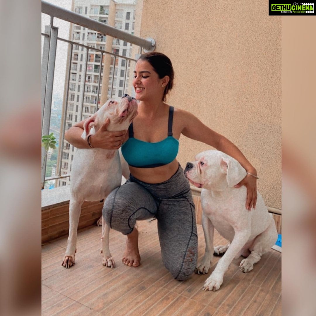 Kavya Thapar Instagram - Swipe to see how quickly my post workout photoshoot evolved 😂😋🐶 #naira #polar #cotton #mybabies #boxers #boxersofinstagram 🌎🌝❤️ Mumbai, Maharashtra