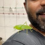 Ma Ka Pa Anand Instagram - 💜💜💜 pachai vettu killi #grasshopper