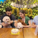 Mouni Roy Instagram - It was my 1st birthday yesterday. My brother Arthur treated me with cake and treats 🦴 mama papa cuddled me more than I like it, my friends Feta & Bo came with presents and played a lot with me. I made 5 new friends at the party. We ate a lot. Drank lots of water too. My sisters Aaira Adhira Maira also gave me birthday kisses. Must say it was an unexpectedly beautiful birthday.. Thank you Nidhi Maasi for making everything so perfect 🤩
