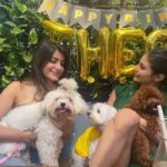 Mouni Roy Instagram - It was my 1st birthday yesterday. My brother Arthur treated me with cake and treats 🦴 mama papa cuddled me more than I like it, my friends Feta & Bo came with presents and played a lot with me. I made 5 new friends at the party. We ate a lot. Drank lots of water too. My sisters Aaira Adhira Maira also gave me birthday kisses. Must say it was an unexpectedly beautiful birthday.. Thank you Nidhi Maasi for making everything so perfect 🤩