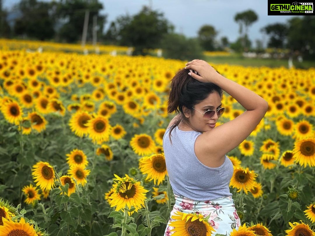 Nandita Swetha Instagram - Here are some of my ☀️ 🌻 pics . . #sunflower #poser