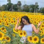 Nandita Swetha Instagram - Here are some of my ☀️ 🌻 pics . . #sunflower #poser