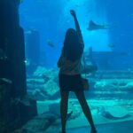Parvatii Nair Instagram - The stay and experiences at @atlantisthepalm was mind blowing ! One of the best hotels in the world with amazing food fun and hospitality ! The water sports and the view from the room are to die for !❤️ @visit.dubai #dubaidestinations Atlantis, The Palm
