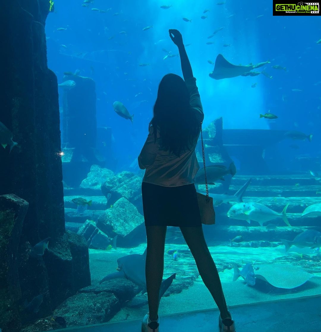 Parvatii Nair Instagram - The stay and experiences at @atlantisthepalm was mind blowing ! One of the best hotels in the world with amazing food fun and hospitality ! The water sports and the view from the room are to die for !❤️ @visit.dubai #dubaidestinations Atlantis, The Palm