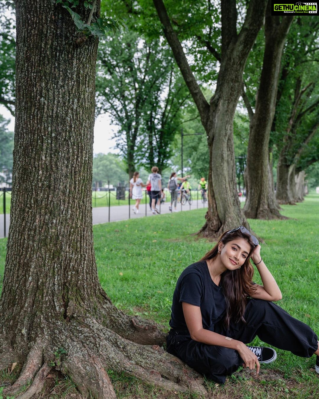 Pooja Hegde Instagram - Tree hugger 🥹🤗❤️ #brb Washington D.C.
