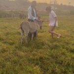 Priya Anand Instagram - I’m Just A Girl Who Loves Sunshine & Donkeys! 💛