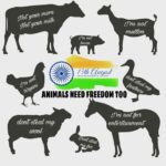 Rashmi Gautam Instagram - #happyindependenceday🇮🇳 In 2022 we have an alternative to everything which is cruelty free Mockmeat, Fakefur, vehicle's, plant-based milk Try to live a guilt free life Let's say no to bloodshed and slaughter and give these animals INDEPENDENCE from PAIN AND FEAR