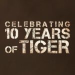 Salman Khan Instagram - #10YearsOfEkThaTiger...And the journey continues. Get ready for #Tiger3 on Eid 2023. Celebrate #Tiger3 with #YRF50 only at a big screen near you on 21st April 2023. Releasing in Hindi, Tamil and Telugu. @katrinakaif | @kabirkhankk | @aliabbaszafar | #ManeeshSharma | @yrf