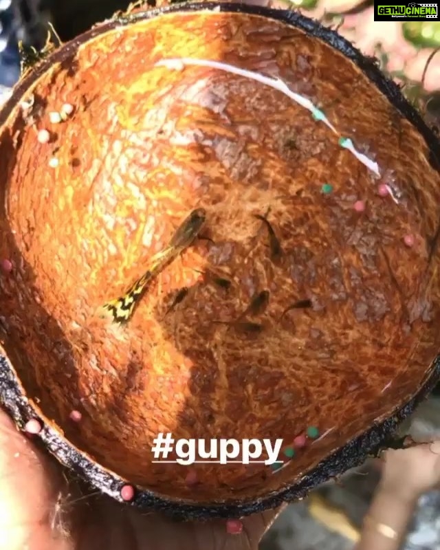 Samyuktha Menon Instagram - Happy birthday 😊😊😊😊 #guppy