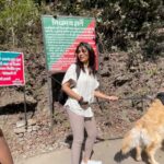 Samyuktha Menon Instagram - She set course on the Himalayas, accompanied by her buddy Zorro. And with misty winds, steamy masala chais, pages from her favourite book and the ripples from the dips in natural springs , she felt - this is it , this is life ❤️❤️ .. for she left footprints there n took back just memories 😊❤️ #onefromtheheart #zorro #mybuddy #goldenretriever #happydays #greathimalayas #trekkingonhimalayas #naturalsprings #instahappy #heartisfull