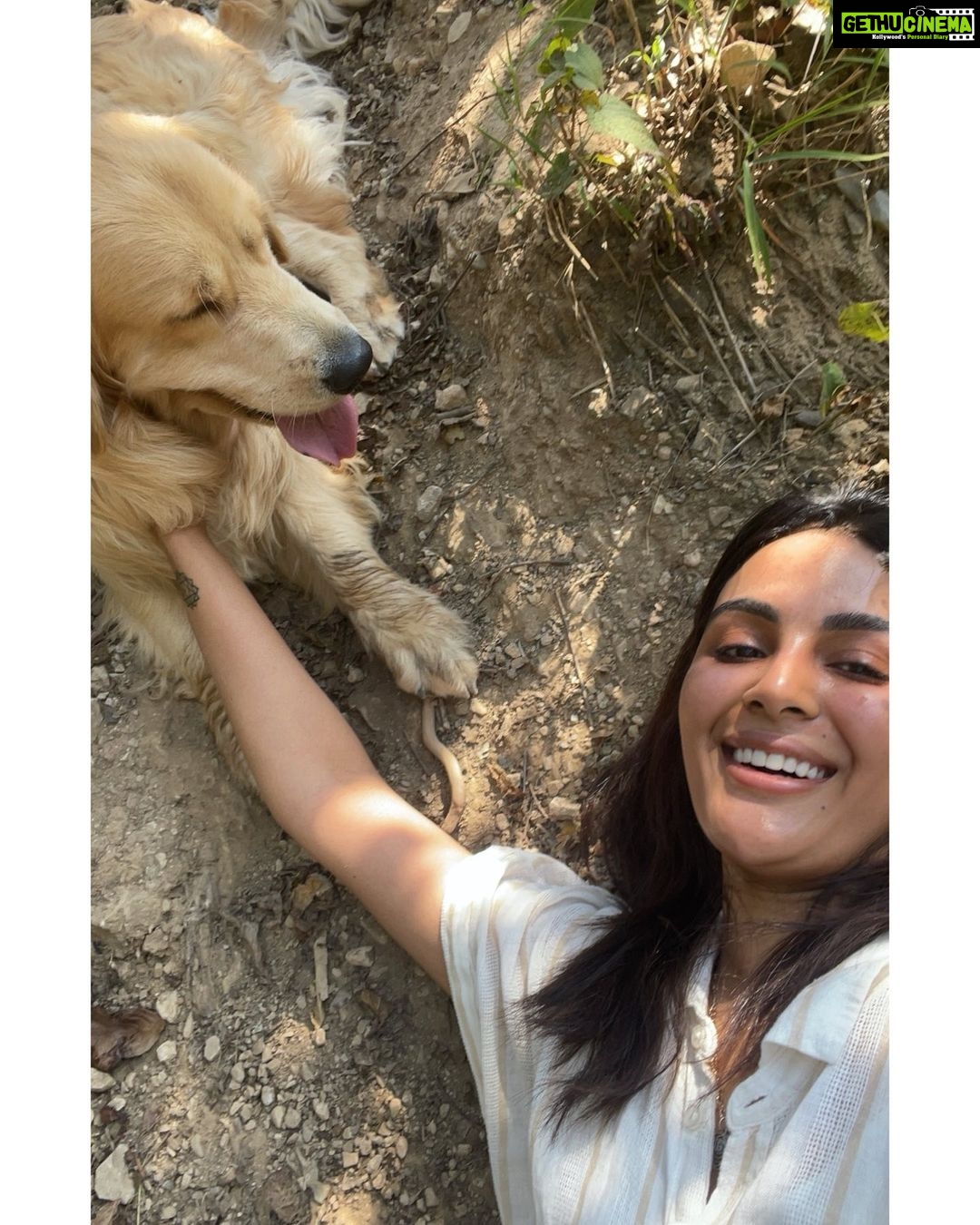 Samyuktha Menon Instagram - On the mountains 🏔 with Zorro ❤️ @zorrosworld_ Neeragarh Waterfall