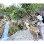 Samyuktha Menon Instagram - On the mountains 🏔 with Zorro ❤️ @zorrosworld_ Neeragarh Waterfall