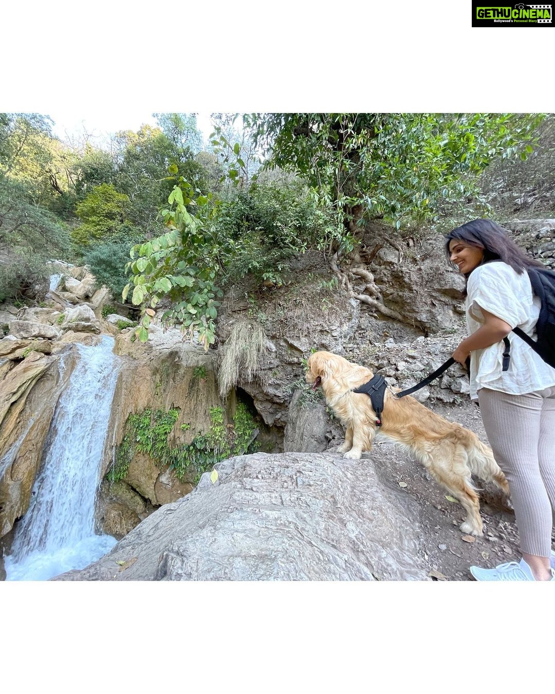 Samyuktha Menon Instagram - On the mountains 🏔 with Zorro ❤️ @zorrosworld_ Neeragarh Waterfall