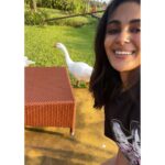 Samyuktha Menon Instagram - Helloooooo 🤓 Niraamaya Retreat Backwaters and Beyond