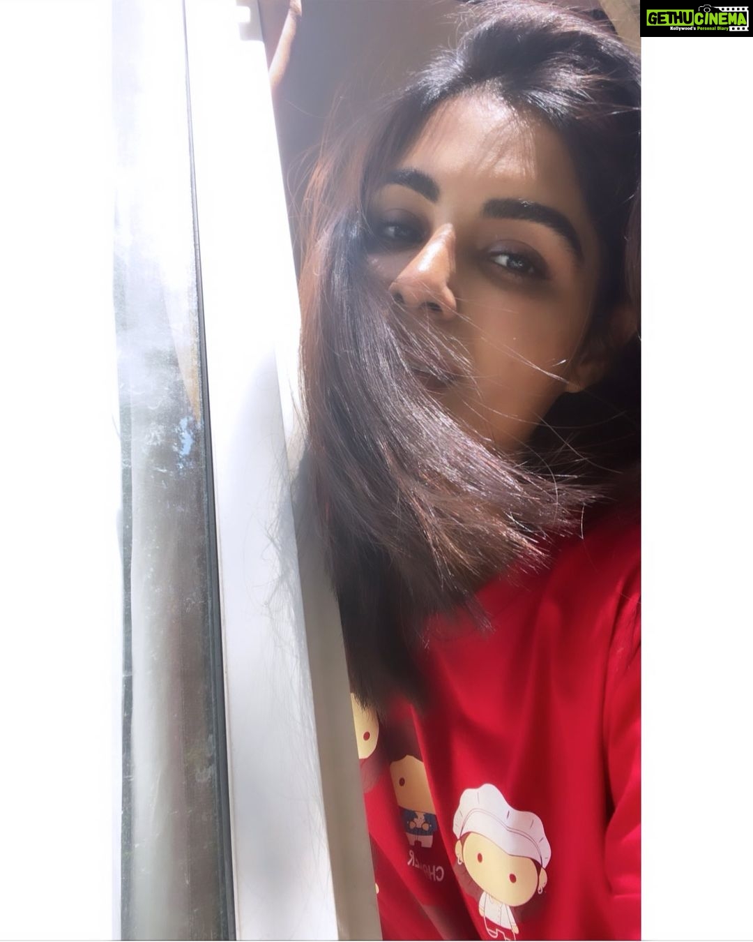 Samyuktha Menon Instagram - Kind of sunkissed from my stroll on YouTube this morning, because you know what’s hot and trending ? Kaduva’s latest teaser ! 😍 Have you watched it yet ? #shootdiaries #kaduva #teaser #trending #newrelease #sunkissed #blimeygood #instared Kanjirapalli