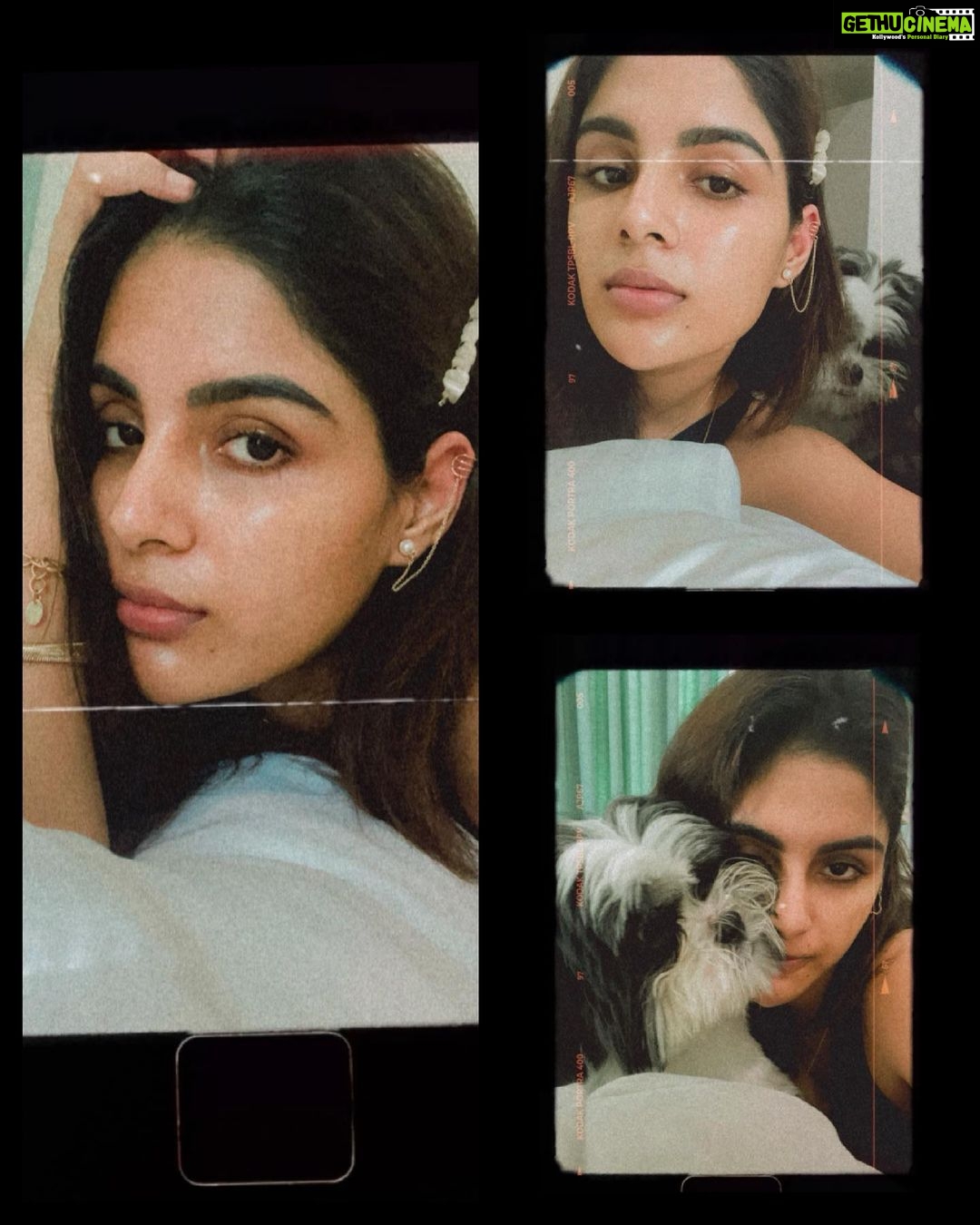 Samyuktha Menon Instagram - Dress up when Life’s Drowsy ! 💄 Nova be like - “Mai Hooman’s sho kyoot ( *in filters *) ” 😃 ~~ #dressup #newthings #filter #nofilter #thursdayvibes #instadaily #withnova #home #lockdowndiaries #instafilter #instacool #girlbuildinganempire #samoninsta #postoftheday #picoftheday