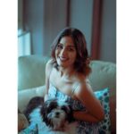 Samyuktha Menon Instagram - So who’s cuter ? Me or Nova 😄 Nova be like - “Hooman ..you don’t even stand a chance !” 📸 @shajeerzeer #hooman #nova #petsofinstagram #instadogs #dogsofinstagram #petphotos #instapets #whoiscuter #doistandachance #homesweethome #instahome #happyfaces #insthooman #instalove #instacute #cutenessoverload #shadesofblue #blackandwhite #instahappy #instadaily