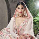 Samyuktha Menon Instagram - Happy to be associating with a brand which has a tradition of over 80 years, @ttdevassy ✨. Purity and tradition is now back in #vogue. Production house : Mindmine Films Director: Sivakumar PA Photography : @tijojohnphotography Jewellery: @ttdevassy jewellery Makeup: @jijeeshmakeupartist Media Relations (Samyuktha) : @fashionmongerachu