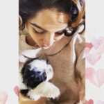 Samyuktha Menon Instagram - I longed for love, absolute & unconditional, a cuddle so warm. It was the toughest phase yet so far, and that is when he happened. Before I held him for the first time so close back in August , I held his tiny paw for the very first time during my Love After Love Series Photoshoot. I fell in love with the Pooch instantly. Dogs were a part of my life back when I was a child too.Ricky,Ashy,Ruby are all among the most beautiful memories I have made.After moving to Kochi , I have always missed having one.They are happy, live in the moment and might even be your best buddy and companion on a lonely, rough day. On my happy first date with the doggo, even though he was supposed to be at another home, I wanted to take him home then and there.Thanks to Ashwin and his care in figuring out how to bring him to me. @fashionmongerachu Two days after the shoot,two days after falling in love with him, I held him, he cuddled in my arms and thus began a happily ever after. Meet Nova..my Super Nova !❤️ #nova #doggo #pooch #pawlove #pawstory #supernova #doglove #mydoggo #pooch #instadogs #dogstagram