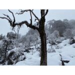 Samyuktha Menon Instagram – 21st feb 2020 . Mahashivaratri . It’s been few days since I had been travelling. Unplanned journey , as always. One of the best synchronised moment I had in my life . I could be at Tunganath , World’s highest Shiva Temple on the Mahashivaratri day. It started snowing heavily on 21st morning , temperature was dropping down steadily . As I was heading up I could see people going down the trail without completing the trek and warning me “mausam kharaab hai ” . Giving up is not my thing and so strong was my Tapasya , very very strong enough to fulfill my wish . The first sight of the destination gave me tears. It wasn’t an adventure . But a pure desire . To travel, to seek , to evolve .
Thanks to my trek leader , who was with me in this amazing journey and for clicking these frozen memories even in that bad weather . Tunganath – तुङ्गनाथ