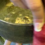 Samyuktha Menon Instagram - Tibetan Singing bowl !!!! Levitation via resonance . #water #music Leh, India