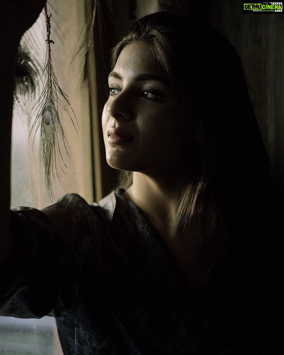 Samyuktha Menon Instagram - In your light I learn how to love - Jalaluddin Muhammed Rumi