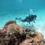 Samyuktha Menon Instagram - #scubadiving Maldives, Indian Ocean