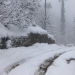 Samyuktha Menon Instagram – I never wanted to leave this place 😊 Himachal Pradesh