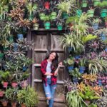 Sandeepa Dhar Instagram - I am a plant lady ; what’s your Superpower ? 🦸‍♀️ 🪴 🌸 Mysore
