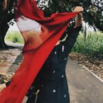 Sanya Malhotra Instagram - 🌹 Main vekhya bada na oh lakhaan vichon aave mainu