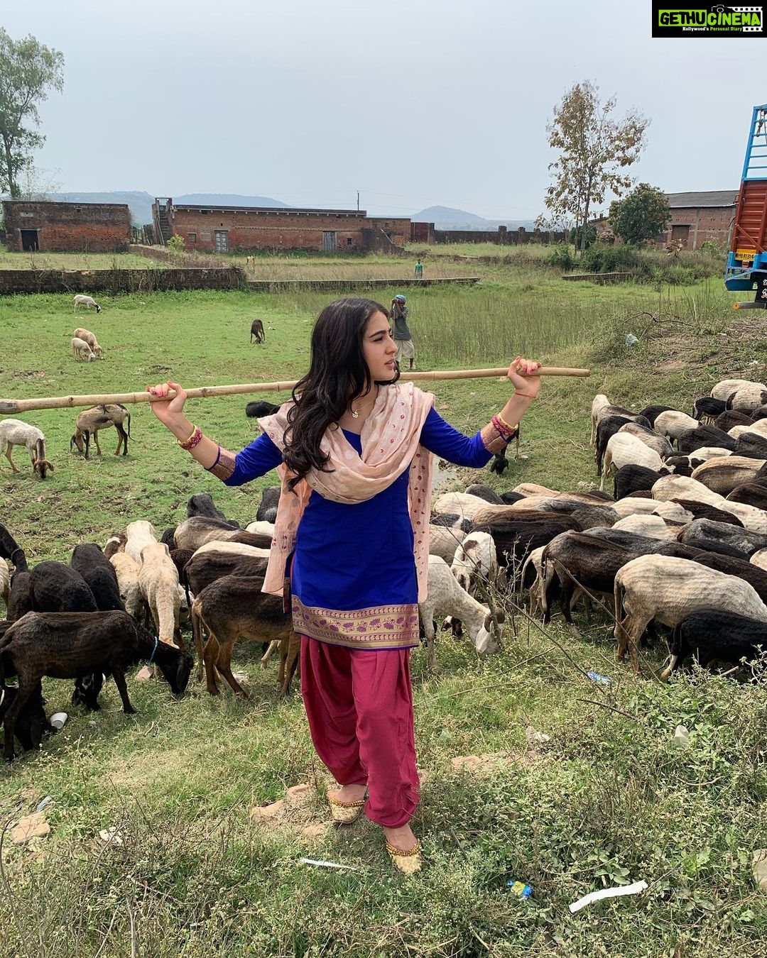 Sara Ali Khan Instagram - बकरी चराना 🐐 ट्रैक्टर चलाना🚜 Was it just photo ka bahana? 📸 Or Sara wishing it was a different zamana? 🌾🌳 Chakia, Uttar Pradesh