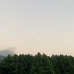 Sara Ali Khan Instagram - Agar firdaus bar roo-e zameen ast, Hameen ast-o hameen ast-o hameen ast. 💟☮️☪️🕉✝️ If there is a paradise on earth, It is this, it is this, it is this. Sarv Dharm Sambhav सर्व धर्म सम भाव #kashmir #jannat #peace #merabharatmahan Kashmir, The Heaven