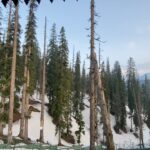 Sara Ali Khan Instagram - A little bit of paradise on earth ❄️🏔☀️ Of people so wonderful there truly is a dearth @manan_tramboo 🤗 Khyber Hotel Gulmarg