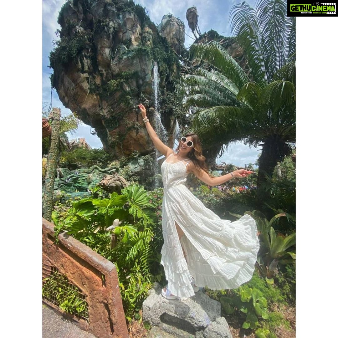 Shama Sikander Instagram - As I Promised.....😃 Here's some other Pictures of #Avatarland 😍 Swipe Right ➡️ To Check them Out 😇 Let me know which one is your favorite in the comments below ❤️ . . . #love #adventure #avatarland #beautiful #nature #beauty #holiday #smile #travel #vacation #happiness #usa Orlando, Florida