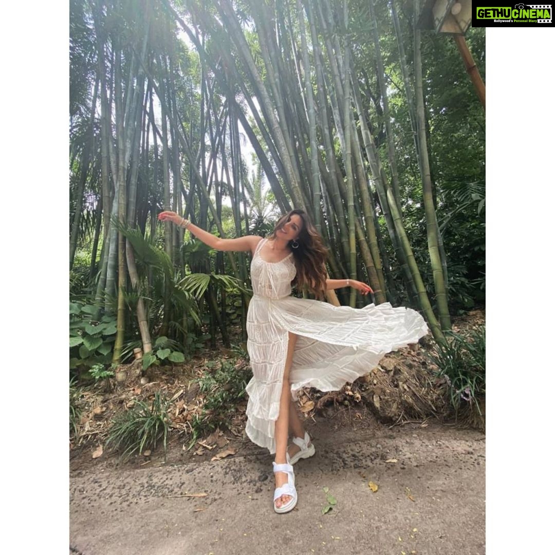 Shama Sikander Instagram - As I Promised.....😃 Here's some other Pictures of #Avatarland 😍 Swipe Right ➡️ To Check them Out 😇 Let me know which one is your favorite in the comments below ❤️ . . . #love #adventure #avatarland #beautiful #nature #beauty #holiday #smile #travel #vacation #happiness #usa Orlando, Florida
