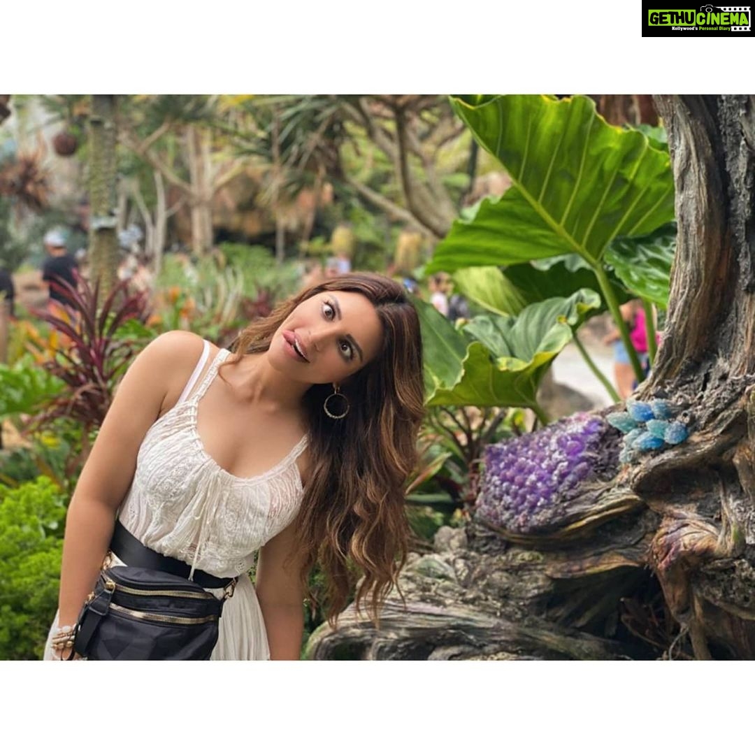 Shama Sikander Instagram - As I Promised.....😃 Here's some other Pictures of #Avatarland 😍 Swipe Right ➡️ To Check them Out 😇 Let me know which one is your favorite in the comments below ❤️ . . . #love #adventure #avatarland #beautiful #nature #beauty #holiday #smile #travel #vacation #happiness #usa Orlando, Florida