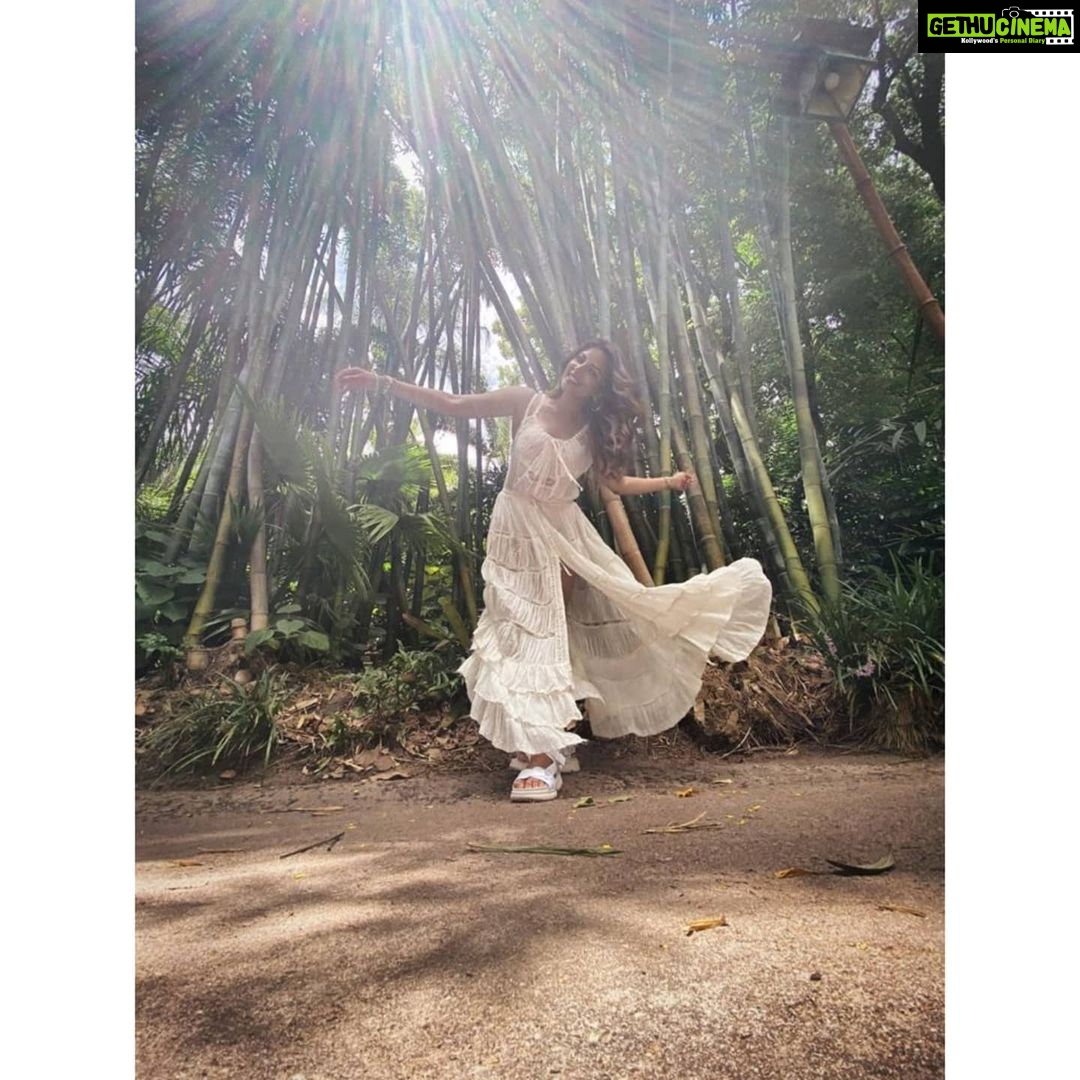 Shama Sikander Instagram - As I Promised.....😃 Here's some other Pictures of #Avatarland 😍 Swipe Right ➡️ To Check them Out 😇 Let me know which one is your favorite in the comments below ❤️ . . . #love #adventure #avatarland #beautiful #nature #beauty #holiday #smile #travel #vacation #happiness #usa Orlando, Florida