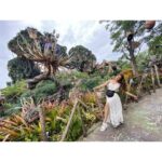 Shama Sikander Instagram – As I Promised…..😃
Here’s some other Pictures of #Avatarland 😍
Swipe Right ➡️ To Check them Out 😇
Let me know which one is your favorite in the comments below ❤️
.
.
.
#love #adventure #avatarland #beautiful #nature #beauty #holiday #smile #travel #vacation #happiness #usa Orlando, Florida