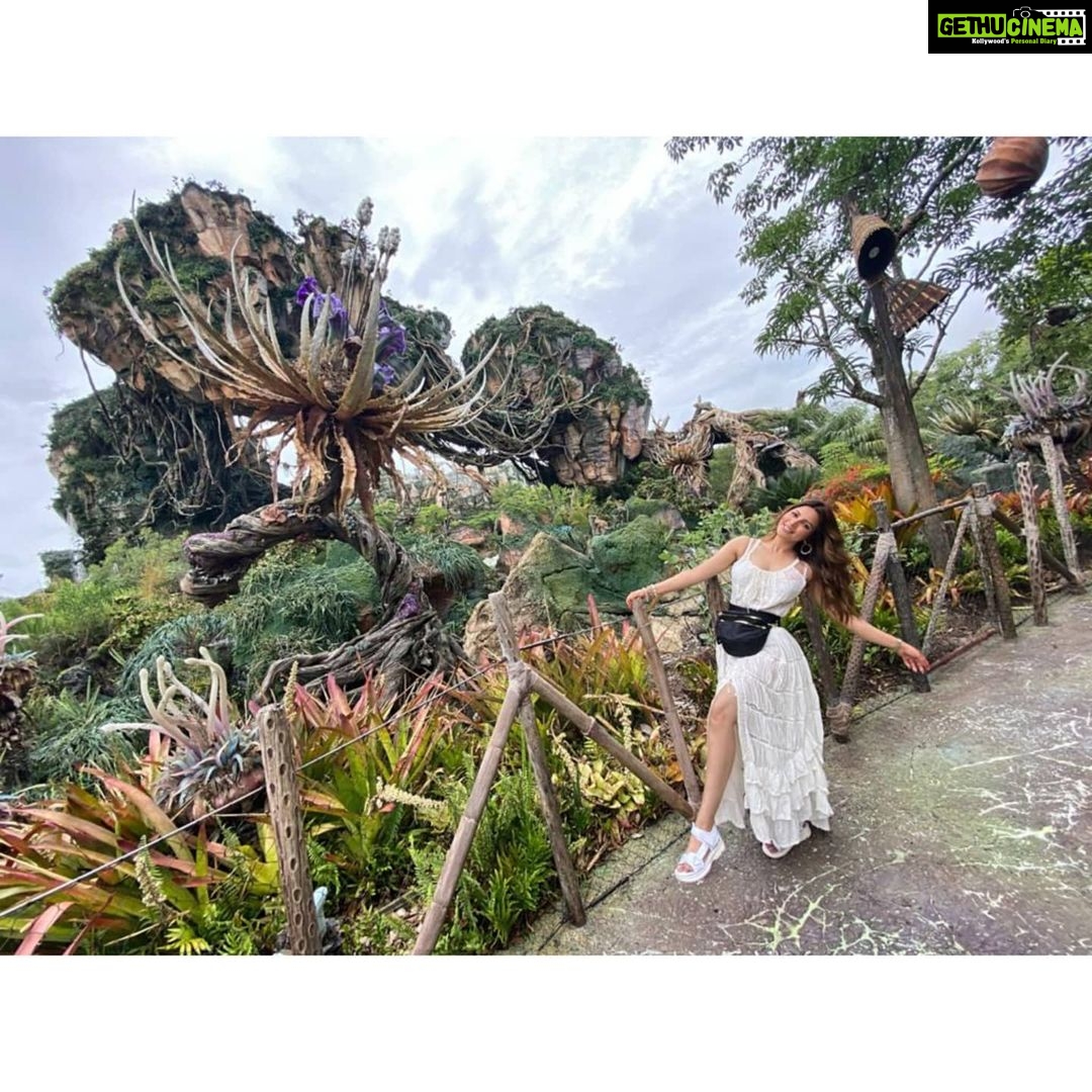 Shama Sikander Instagram - As I Promised.....😃 Here's some other Pictures of #Avatarland 😍 Swipe Right ➡️ To Check them Out 😇 Let me know which one is your favorite in the comments below ❤️ . . . #love #adventure #avatarland #beautiful #nature #beauty #holiday #smile #travel #vacation #happiness #usa Orlando, Florida