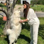 Shama Sikander Instagram - How fast did it go from this 👆🏻 to swipe right 👆🏻👆🏻👆🏻 #doglove 😄😆 this big guy wanted to show me allll the love he got by strangling meee😆😆😆 i love bear he’s the cutest puppy i have ever met ❤️❤️ . . #love #dog #cute #puppy #crazy #nature #happy #animallover #loveanimals Ohio , U.S.A