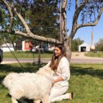 Shama Sikander Instagram - How fast did it go from this 👆🏻 to swipe right 👆🏻👆🏻👆🏻 #doglove 😄😆 this big guy wanted to show me allll the love he got by strangling meee😆😆😆 i love bear he’s the cutest puppy i have ever met ❤️❤️ . . #love #dog #cute #puppy #crazy #nature #happy #animallover #loveanimals Ohio , U.S.A