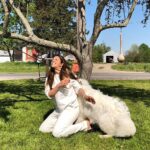 Shama Sikander Instagram - How fast did it go from this 👆🏻 to swipe right 👆🏻👆🏻👆🏻 #doglove 😄😆 this big guy wanted to show me allll the love he got by strangling meee😆😆😆 i love bear he’s the cutest puppy i have ever met ❤️❤️ . . #love #dog #cute #puppy #crazy #nature #happy #animallover #loveanimals Ohio , U.S.A