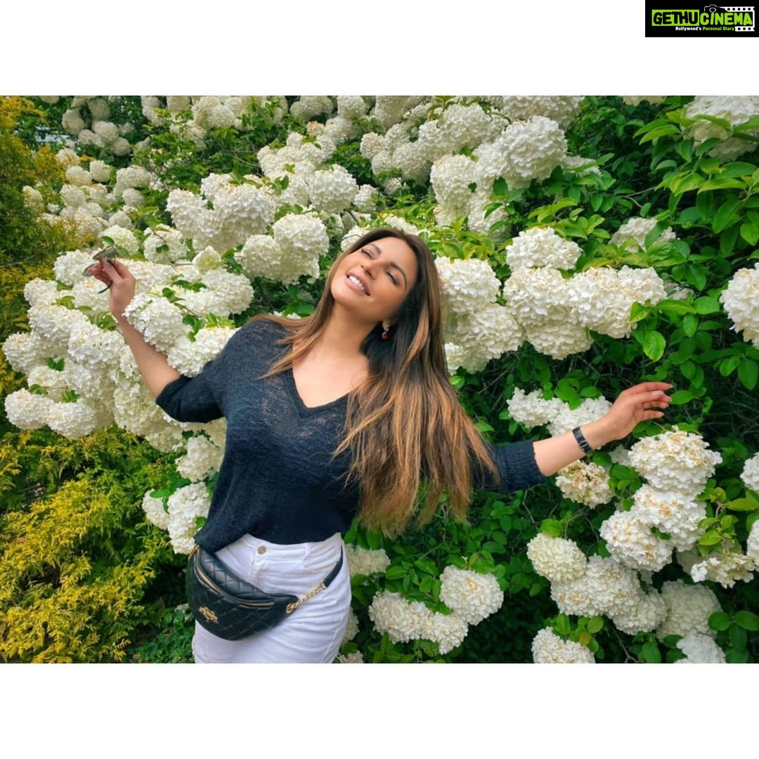 Shama Sikander Instagram - Its spring time... And everything is in full bloom...😍🥰 . . . #springtime #nature #flowers #love #vibes #weather #sunshine #blossom #trees #green #colorful Ohio , U.S.A