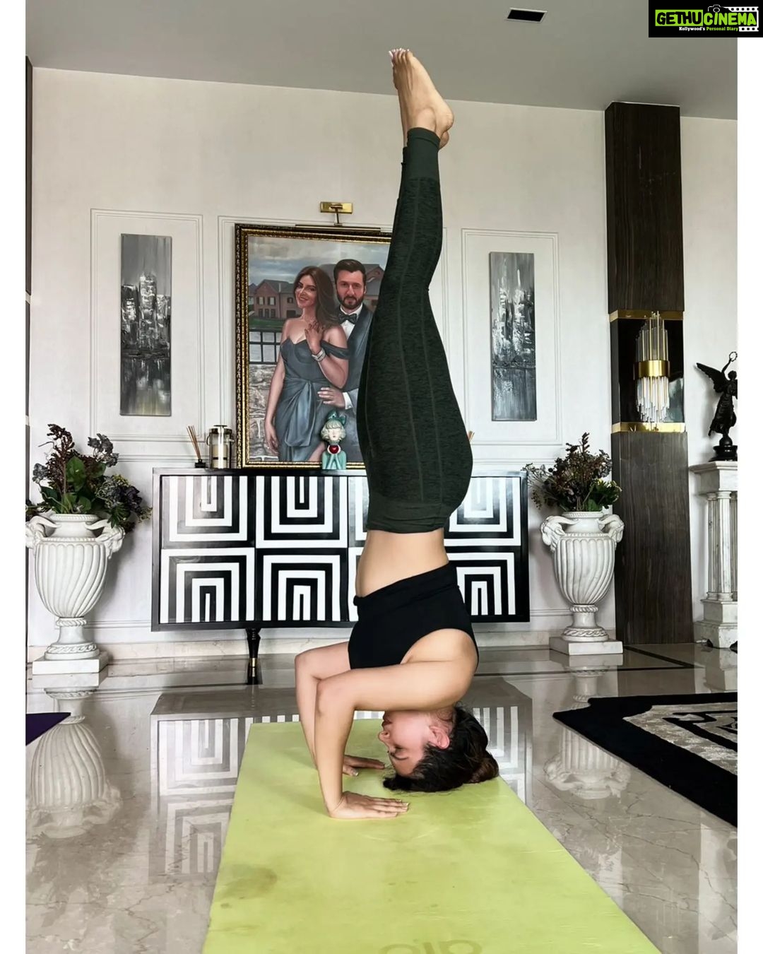 Shama Sikander Instagram - Definition of Yoga 🧘♀️ Yoga is a physical, mental and spiritual practice that originated in ancient India. The word yoga is derived from the Sanskrit root yuj, meaning “to yoke,” or “to unite”. The practice aims to create union between body, mind and spirit, as well as between the individual self and universal consciousness. Such a union tends to neutralize ego-driven thoughts and behaviours, creating a sense of spiritual awakening…. International yoga divas par aap sabko mera shat shat pranam🙏🏻😇 Aur bahot bahot aabhar mere guruwon ka jinki madad se meri ye journey yahan tak pahunchi thank you @chaitanyatirth and @rohitflowyoga 🙏🏻🙏🏻 . . #happyinternationalyogaday #yoga #yogaday2022 #internationalyogaday #motivation #strength #positivity #blessed #shamasikander Mumbai, Maharashtra