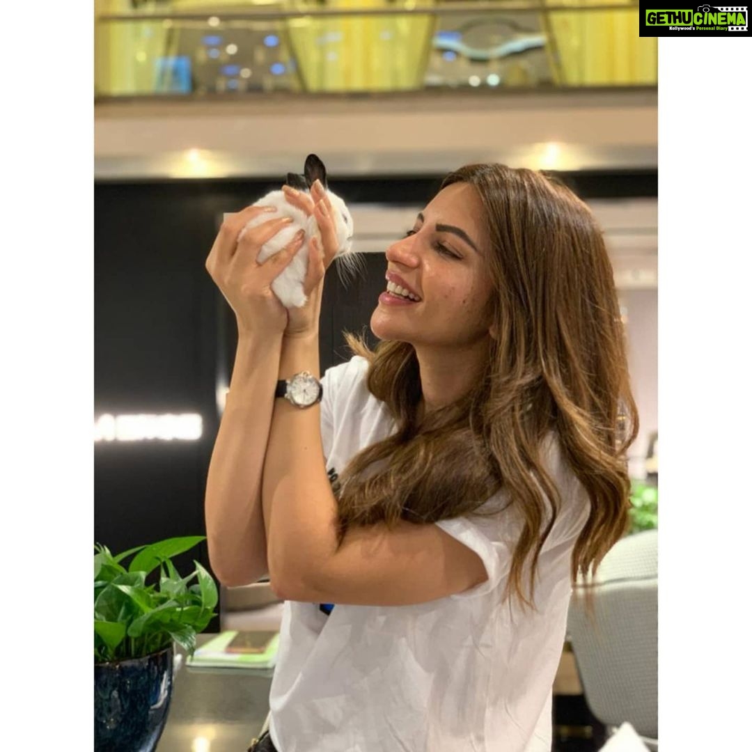 Shama Sikander Instagram - My friend bunny rabbit 🐰❤️ I love rabits, such a fragile, fast, adorably cute little being... so much innocence 🥰 Although I don’t have any pets, i do however admit that i love all beings, the universe has kept us all together on this beautiful planet mother earth 🌍 and i am forever amused by its beauty, its unconditional love , forever giving and forgiving abundance ... I feel soooo blessed and grateful to be here in this moment and living and breathing on this beautiful planet, my heart is full of love 🙏🏻😇❤️❤️❤️ . . #animallover #nature #care #happiness #beautiful #love #universe #earth #blessed #grateful