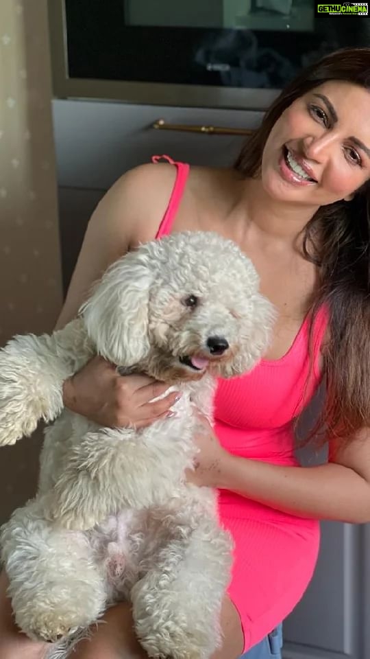 Shama Sikander Instagram - My bundle of joy…😇❤️ my casper 😘 . . . #smile #bundleofjoy #happiness #happymood #casper #shamasikanderreels #likeforlikes